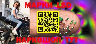 крисы Пенза