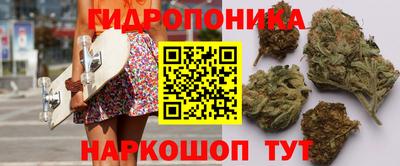крисы Пенза