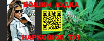 крисы Пенза