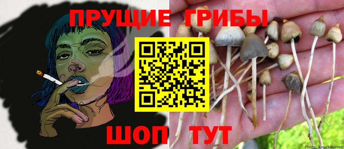 Псилоцибиновые грибы мухоморы  Галлюциногенные грибы мицелий  Вход с VPN  где купить наркотик  Рассказово 